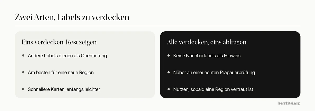 Vergleich zweier Arten der Bildverdeckung für die Anatomie: ein Label verdecken oder alle Labels verdecken