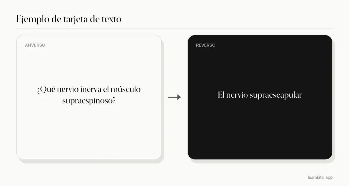 Ejemplo de flashcard de texto de anatomía que pregunta qué nervio inerva el músculo supraespinoso