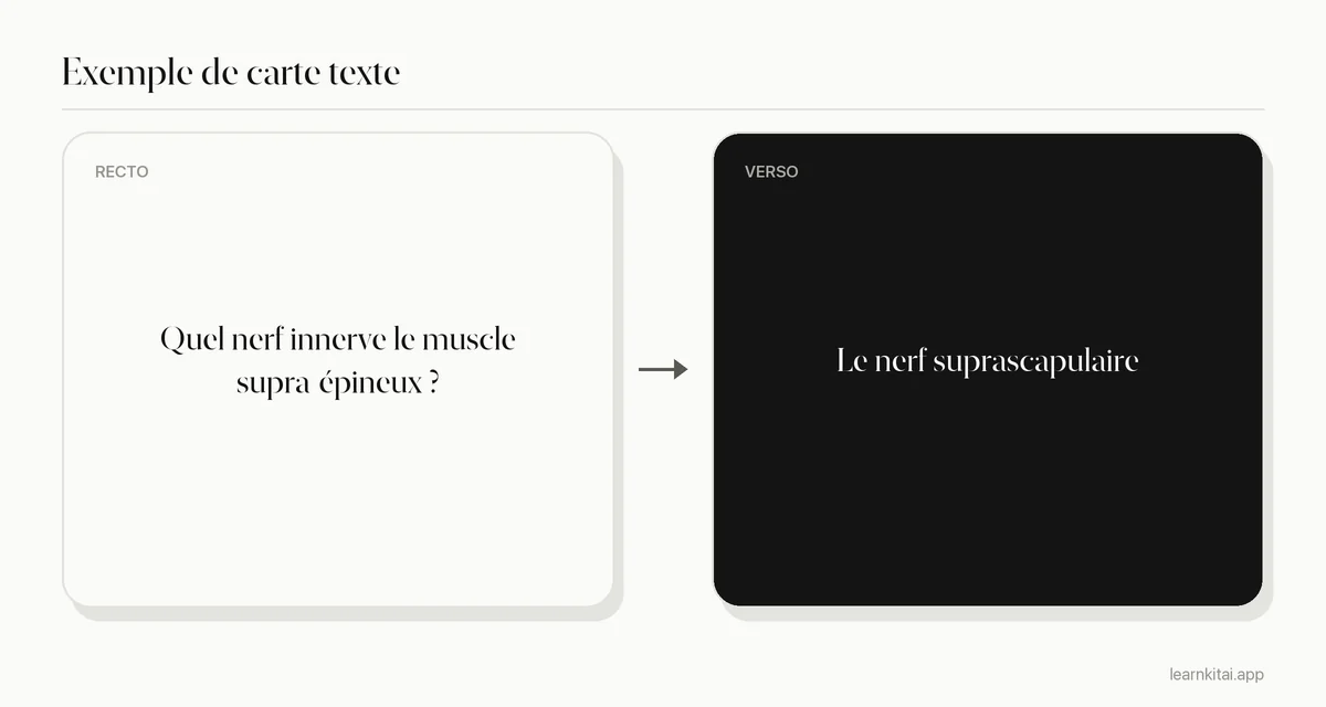 Exemple de flashcard texte d'anatomie demandant quel nerf innerve le muscle supra-épineux