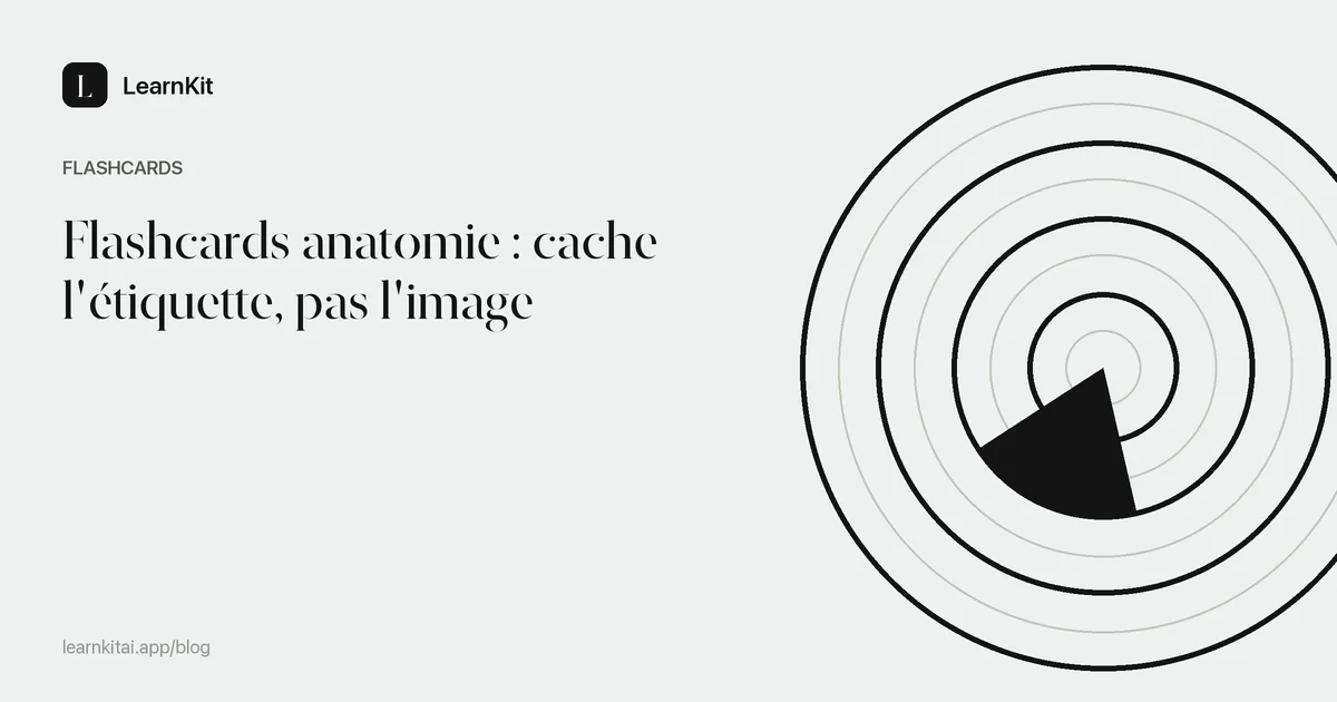 Le titre Flashcards anatomie : cache l'étiquette, pas l'image sur un motif monochrome épuré