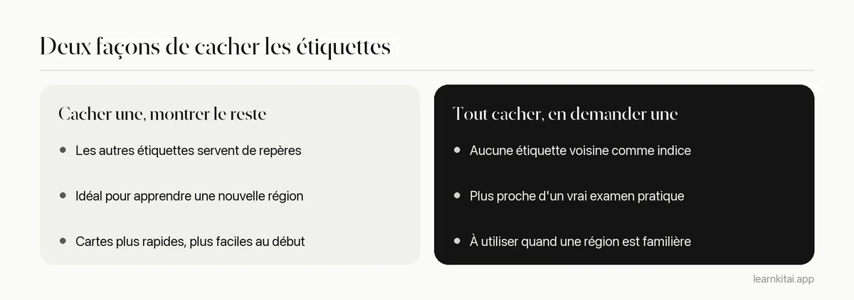 Comparaison de deux styles de masquage d'image en anatomie : cacher une étiquette ou toutes les étiquettes