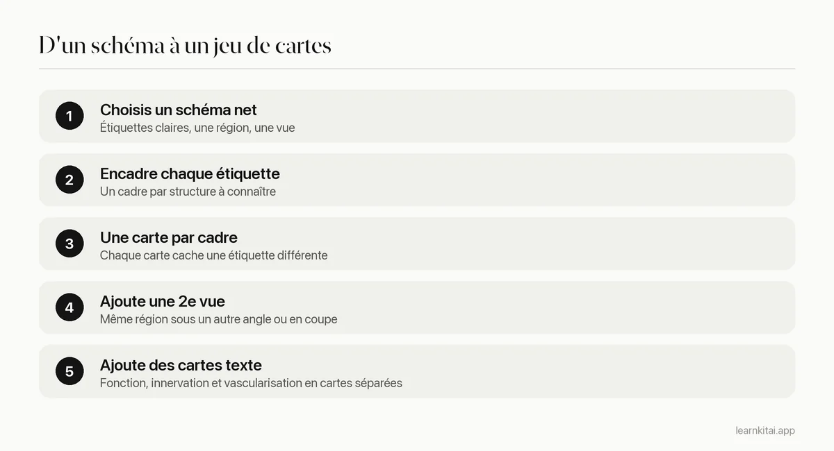 Cinq étapes pour construire des cartes d'anatomie à masquage d'image à partir d'un schéma