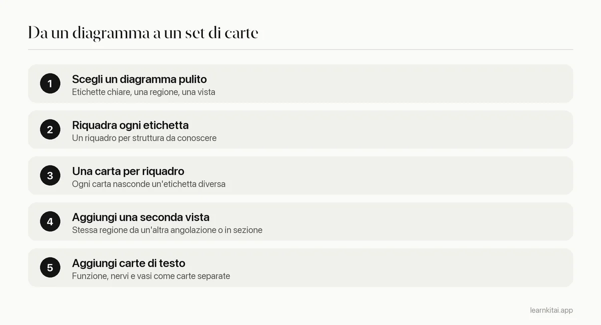 Cinque passi per costruire carte di anatomia a occlusione di immagine da un diagramma