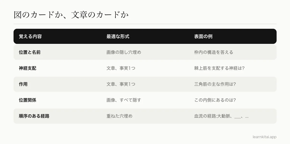 解剖学の事実の種類ごとに、最適な暗記カードの形式を対応させた表