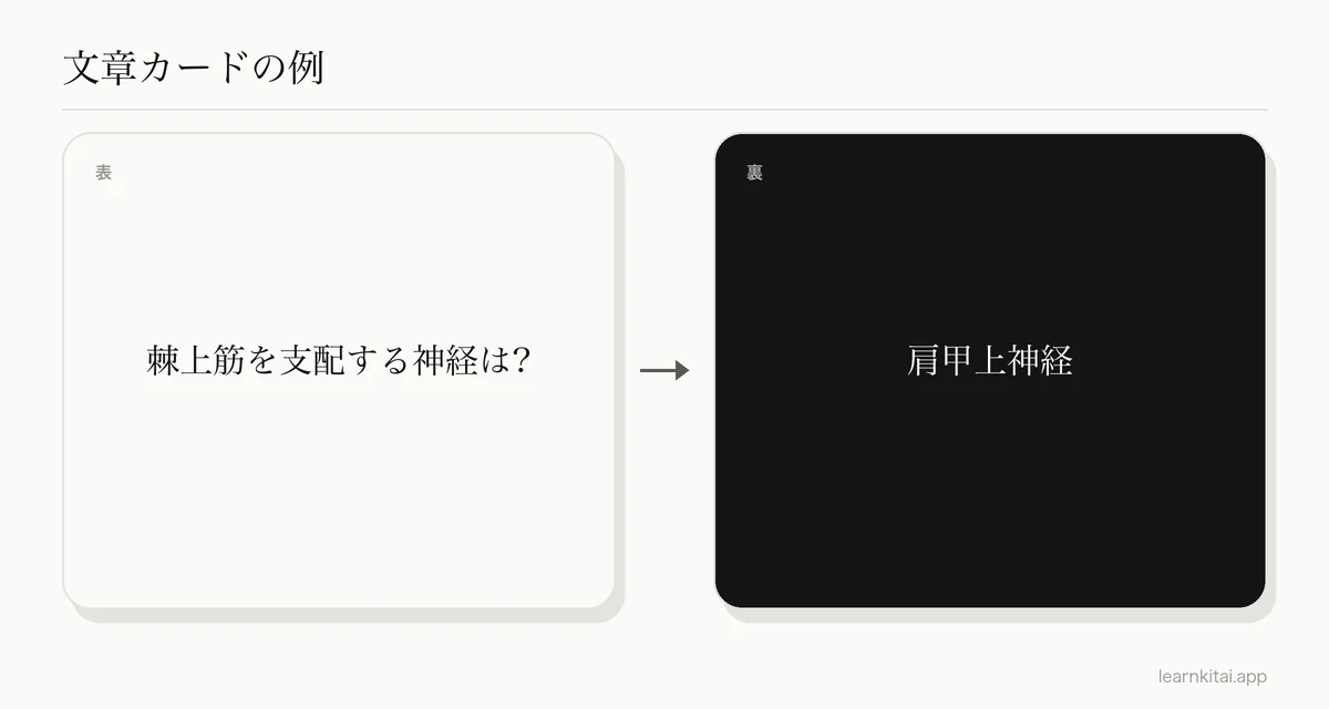 棘上筋を支配する神経を尋ねる、解剖学の文章の暗記カードの例