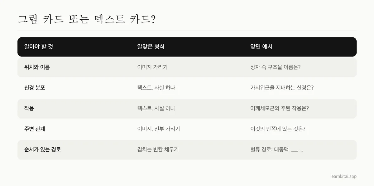 해부학 내용 유형과 각각에 가장 알맞은 플래시카드 형식을 짝지은 표