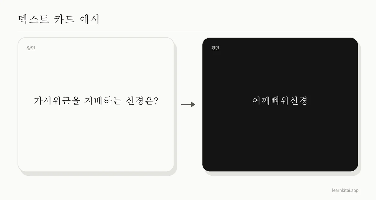 가시위근을 지배하는 신경을 묻는 해부학 텍스트 플래시카드 예시