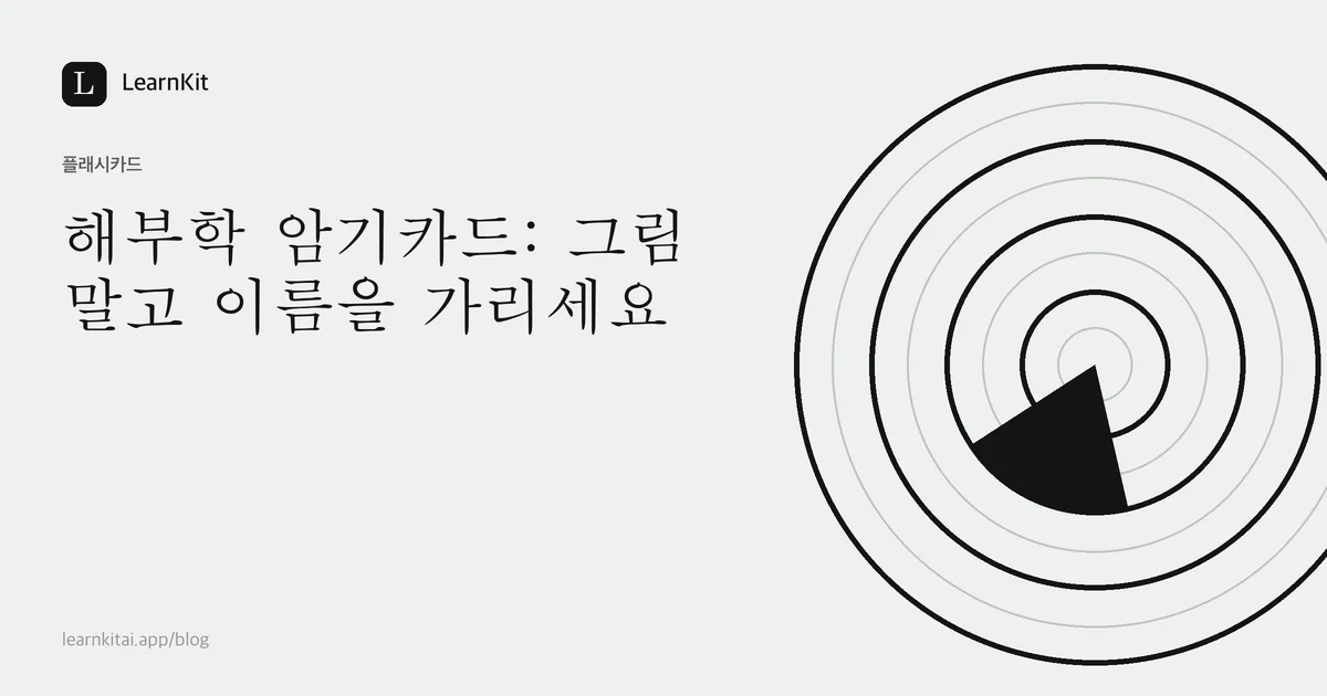 제목 해부학 암기카드: 그림 말고 이름을 가리세요가 차분한 흑백 패턴 위에 놓인 이미지