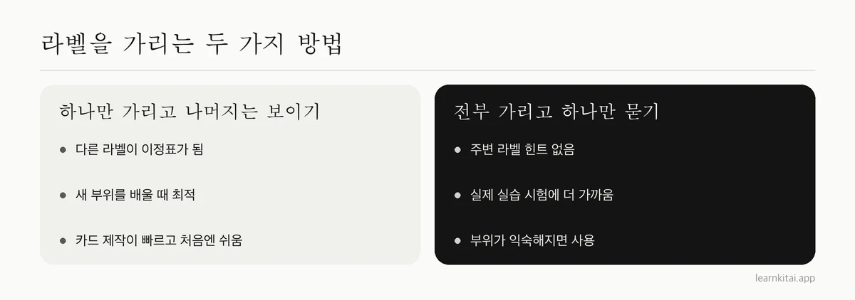 해부학 이미지 가리기의 두 가지 방식 비교: 라벨 하나만 가리기와 모든 라벨 가리기