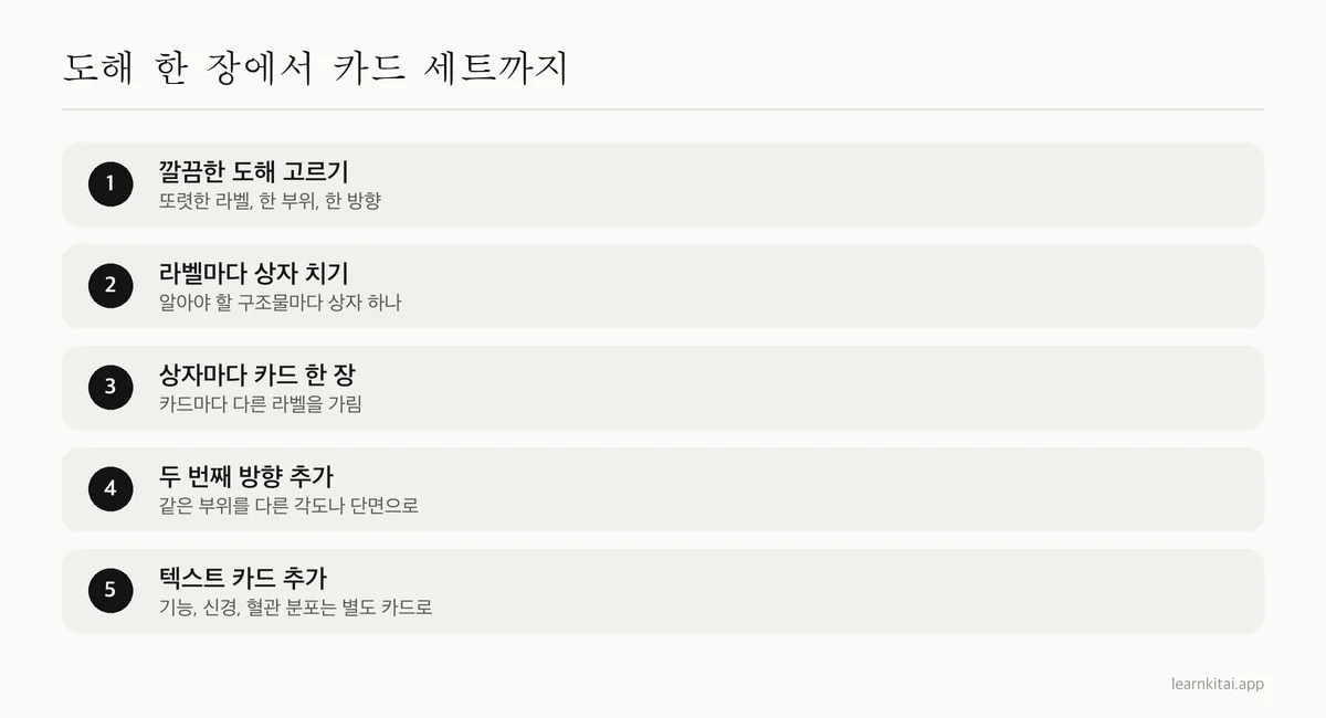 도해로 이미지 가리기 해부학 카드를 만드는 다섯 단계