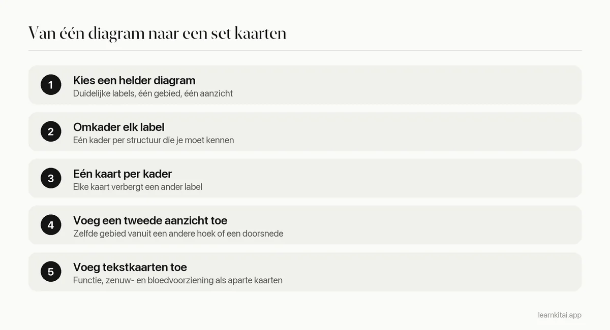 Vijf stappen om image occlusion-kaarten voor anatomie van een diagram te bouwen