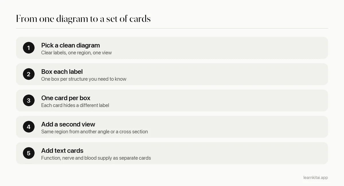 Five steps to build image occlusion anatomy cards from a diagram