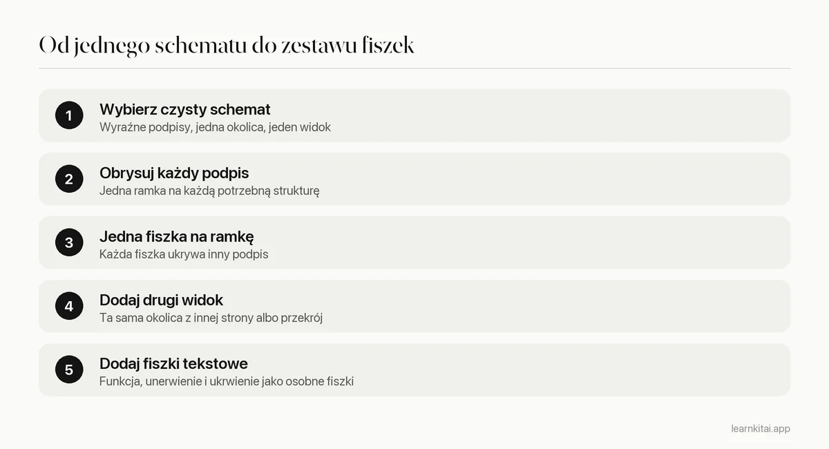 Pięć kroków budowania fiszek z zasłanianiem obrazu z anatomii na podstawie schematu