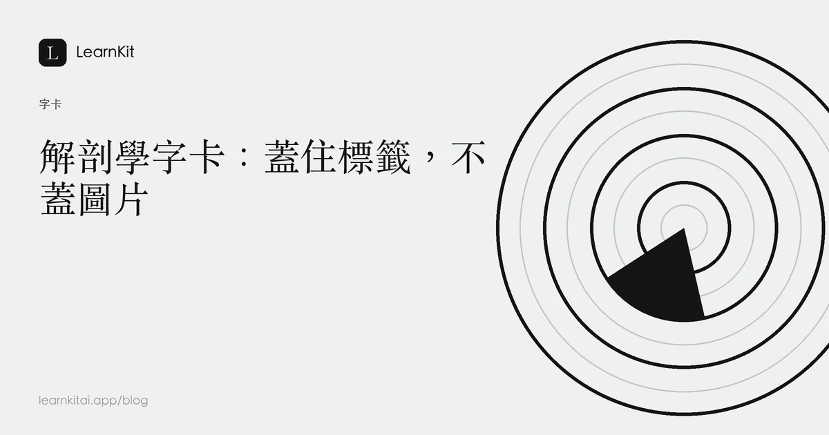文章標題「解剖學字卡:蓋住標籤,不蓋圖片」,背景為沉靜的單色圖紋