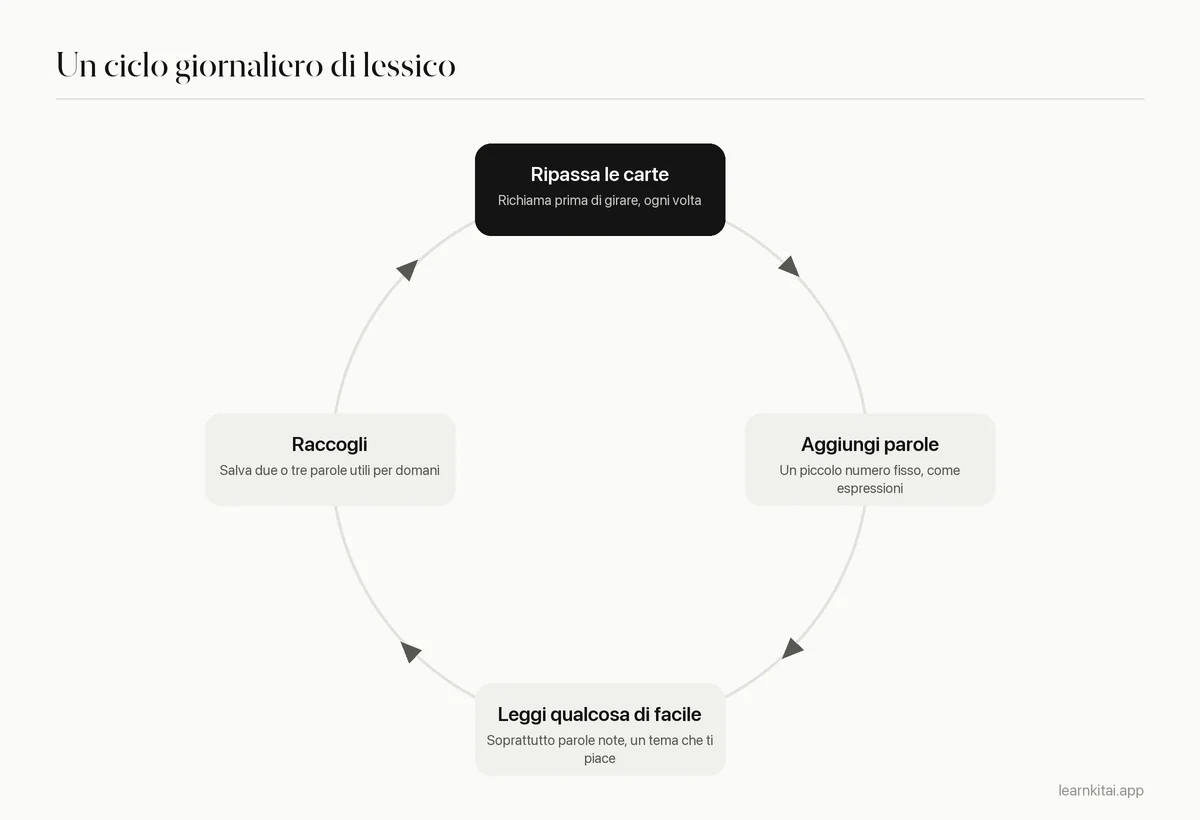 Routine giornaliera in quattro passi per il lessico: ripassa le carte in scadenza, aggiungi parole nuove, leggi un testo facile, raccogli parole