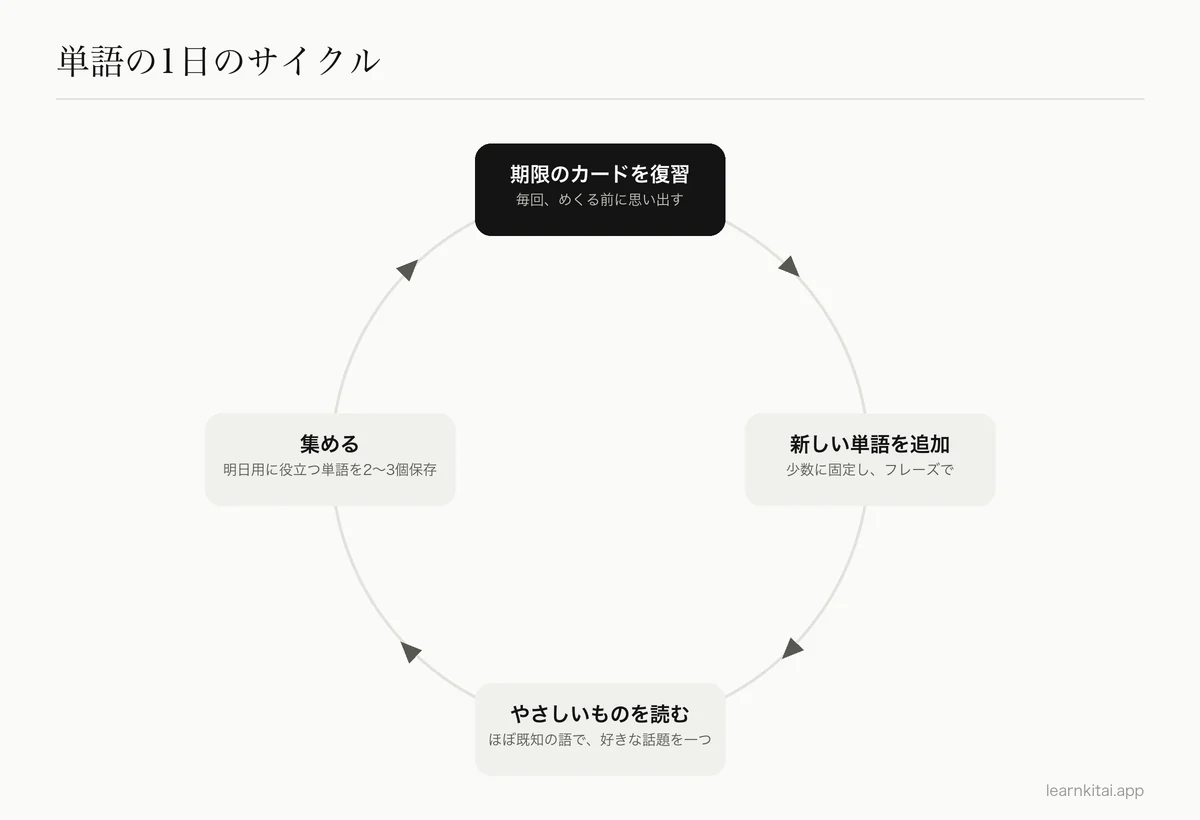 単語の1日の4つの手順:期限のカードを復習、新しい単語を追加、やさしい文章を読む、単語を集める