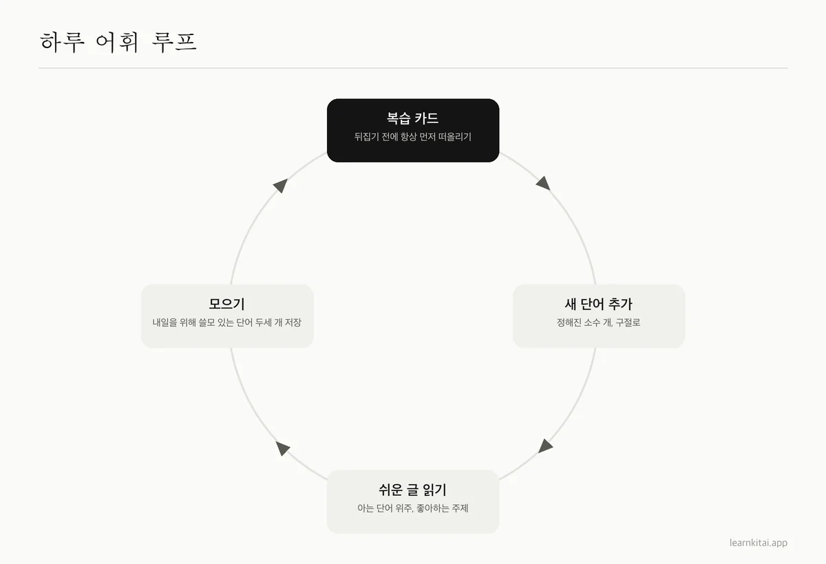 어휘를 위한 네 단계 하루 루틴: 복습 카드, 새 단어 추가, 쉬운 글 읽기, 단어 모으기