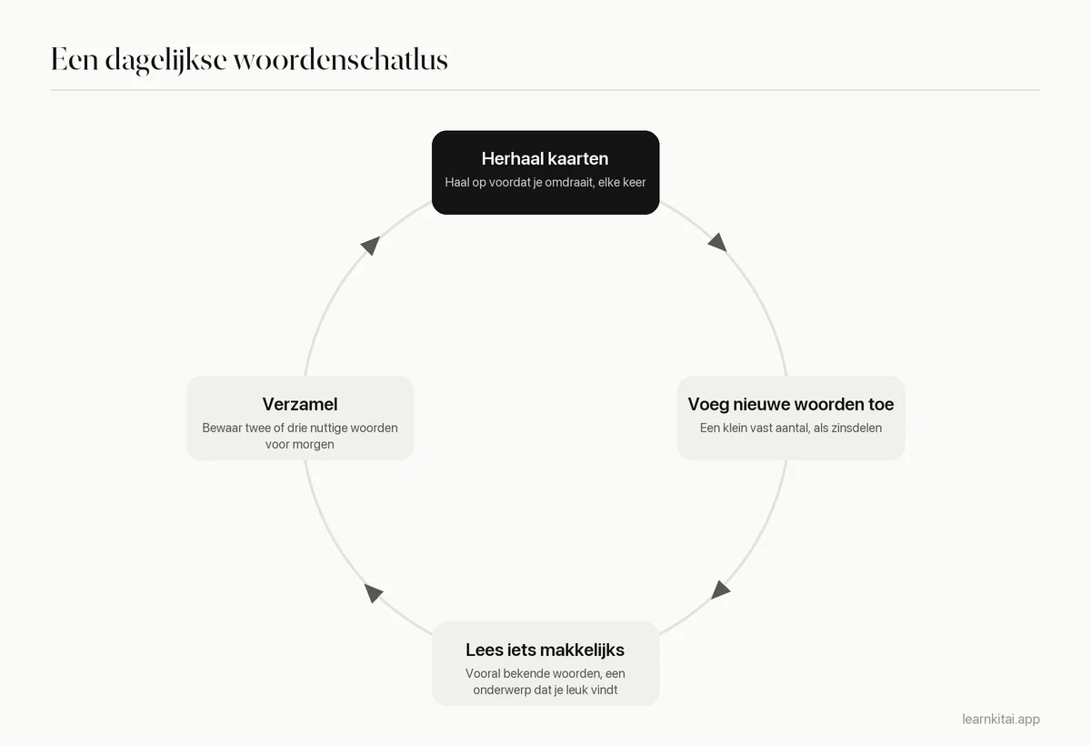 Dagroutine in vier stappen voor woordenschat: kaarten herhalen, nieuwe woorden toevoegen, makkelijke tekst lezen, woorden verzamelen