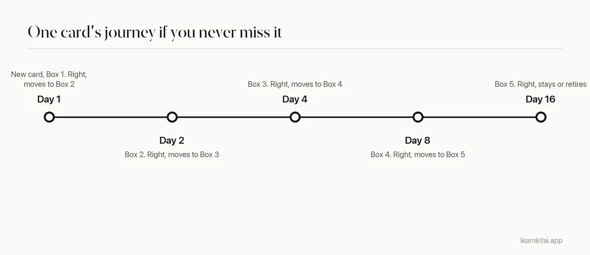 Timeline of one card answered correctly every time: Box 1 on day 1, Box 2 on day 2, Box 3 on day 4, Box 4 on day 8, Box 5 on day 16
