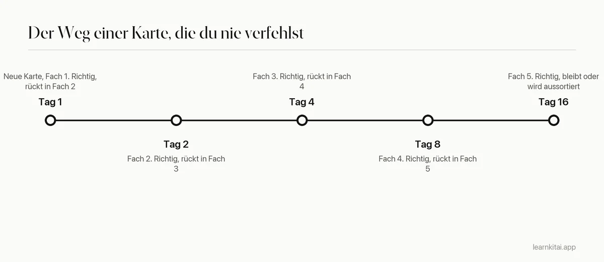 Zeitleiste einer Karte, die immer richtig beantwortet wird: Fach 1 an Tag 1, Fach 2 an Tag 2, Fach 3 an Tag 4, Fach 4 an Tag 8, Fach 5 an Tag 16