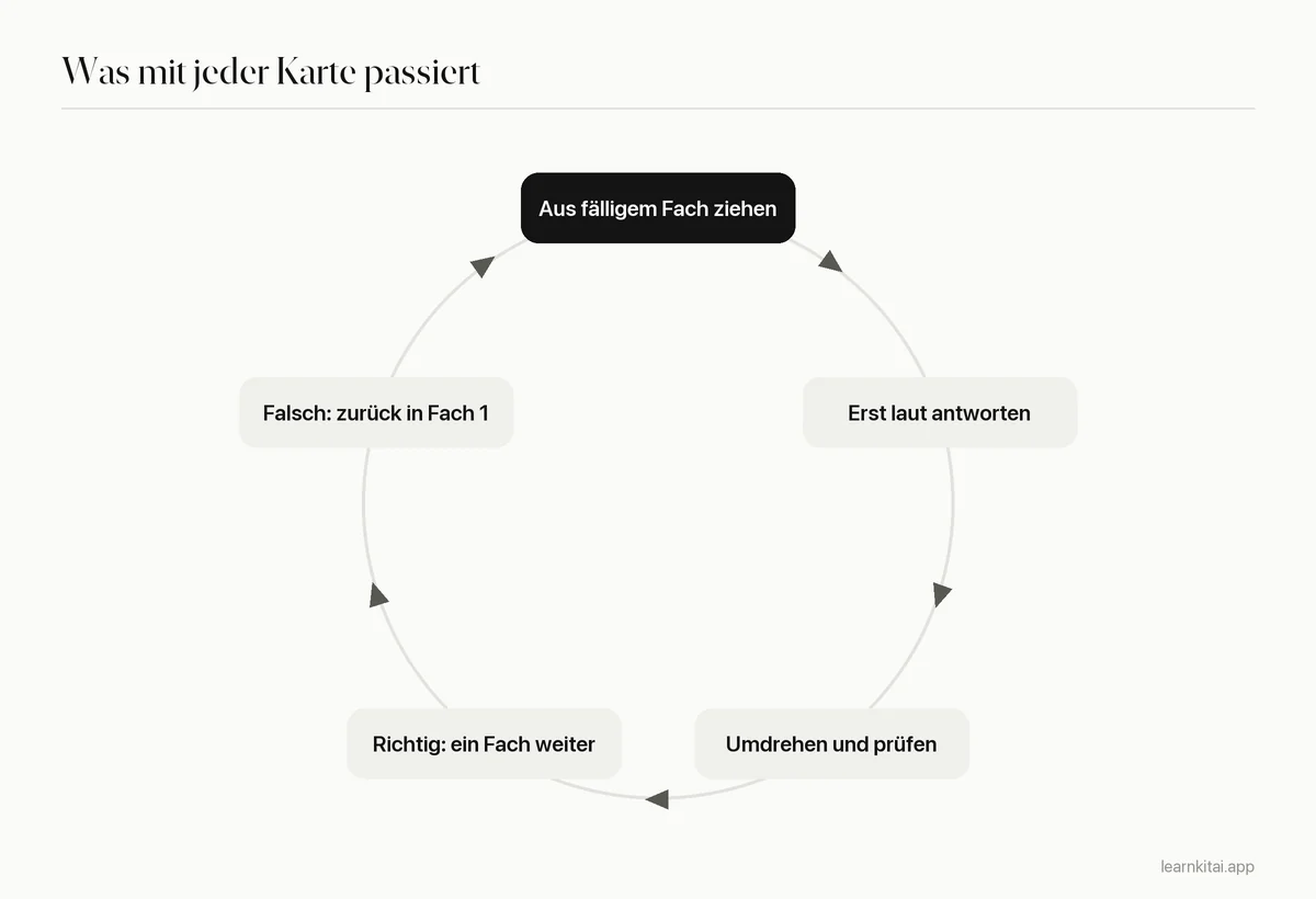 Kreisdiagramm: Karte aus einem fälligen Fach ziehen, aus dem Gedächtnis antworten, prüfen, bei richtig weiterrücken, bei falsch zurück in Fach 1