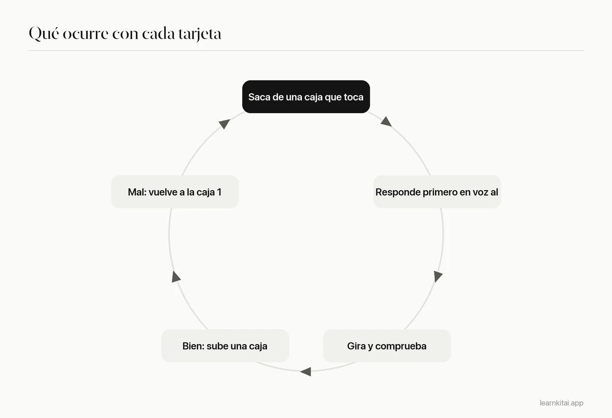 Diagrama cíclico: sacar una tarjeta de una caja que toca, responder de memoria, comprobar, subir si es correcta o volver a la caja 1 si es incorrecta