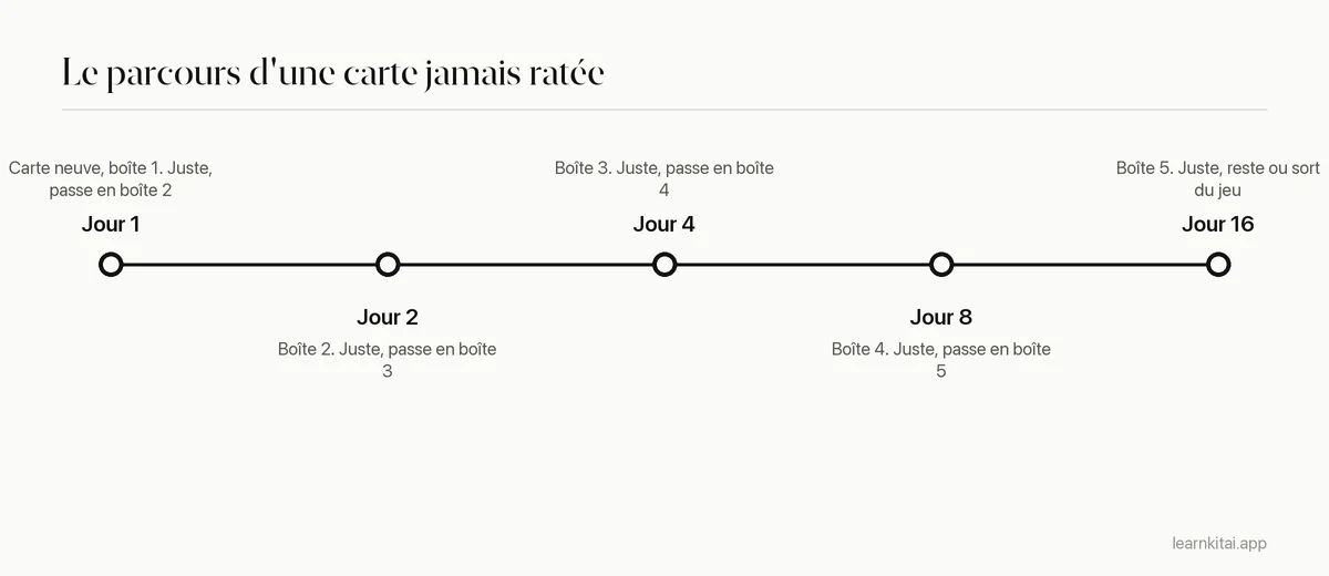Frise d'une carte réussie à chaque fois : boîte 1 au jour 1, boîte 2 au jour 2, boîte 3 au jour 4, boîte 4 au jour 8, boîte 5 au jour 16