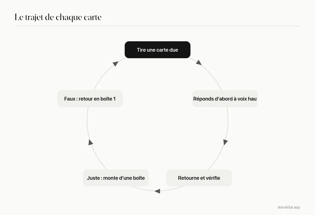Schéma en cycle : tirer une carte d'une boîte due, répondre de mémoire, vérifier, monter d'une boîte si c'est juste ou retourner en boîte 1 si c'est faux