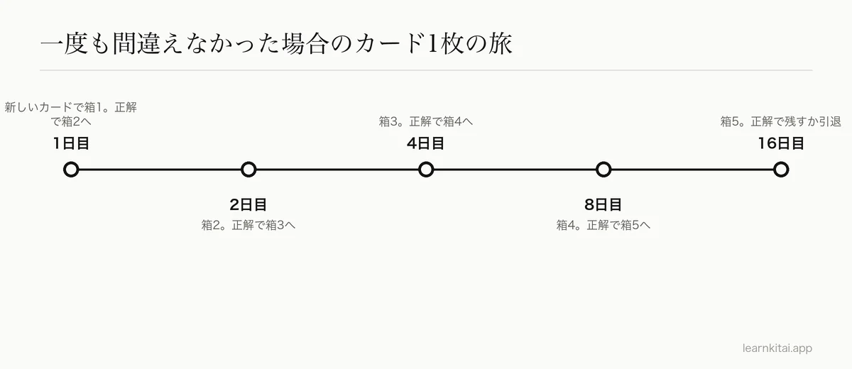 毎回正解したカード1枚の年表:1日目に箱1、2日目に箱2、4日目に箱3、8日目に箱4、16日目に箱5