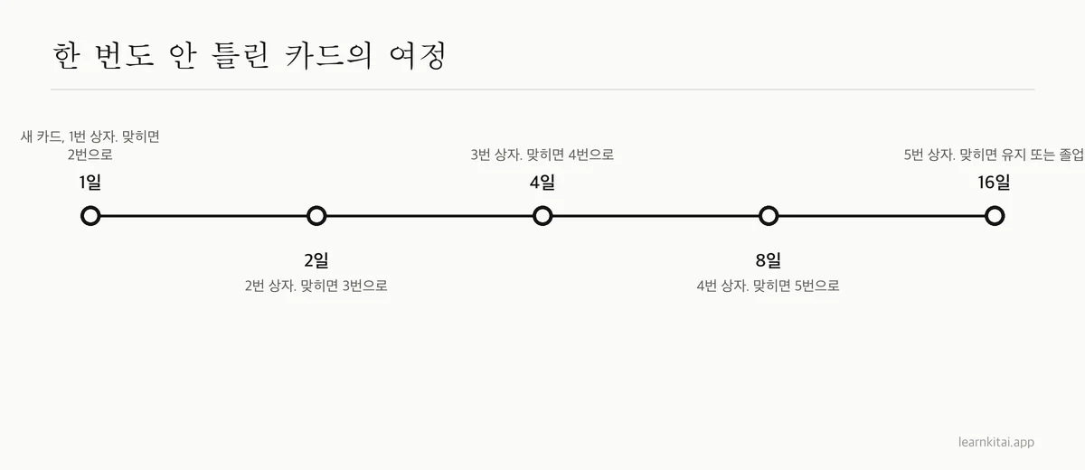 매번 맞힌 카드 한 장의 타임라인: 1일 1번 상자, 2일 2번, 4일 3번, 8일 4번, 16일 5번