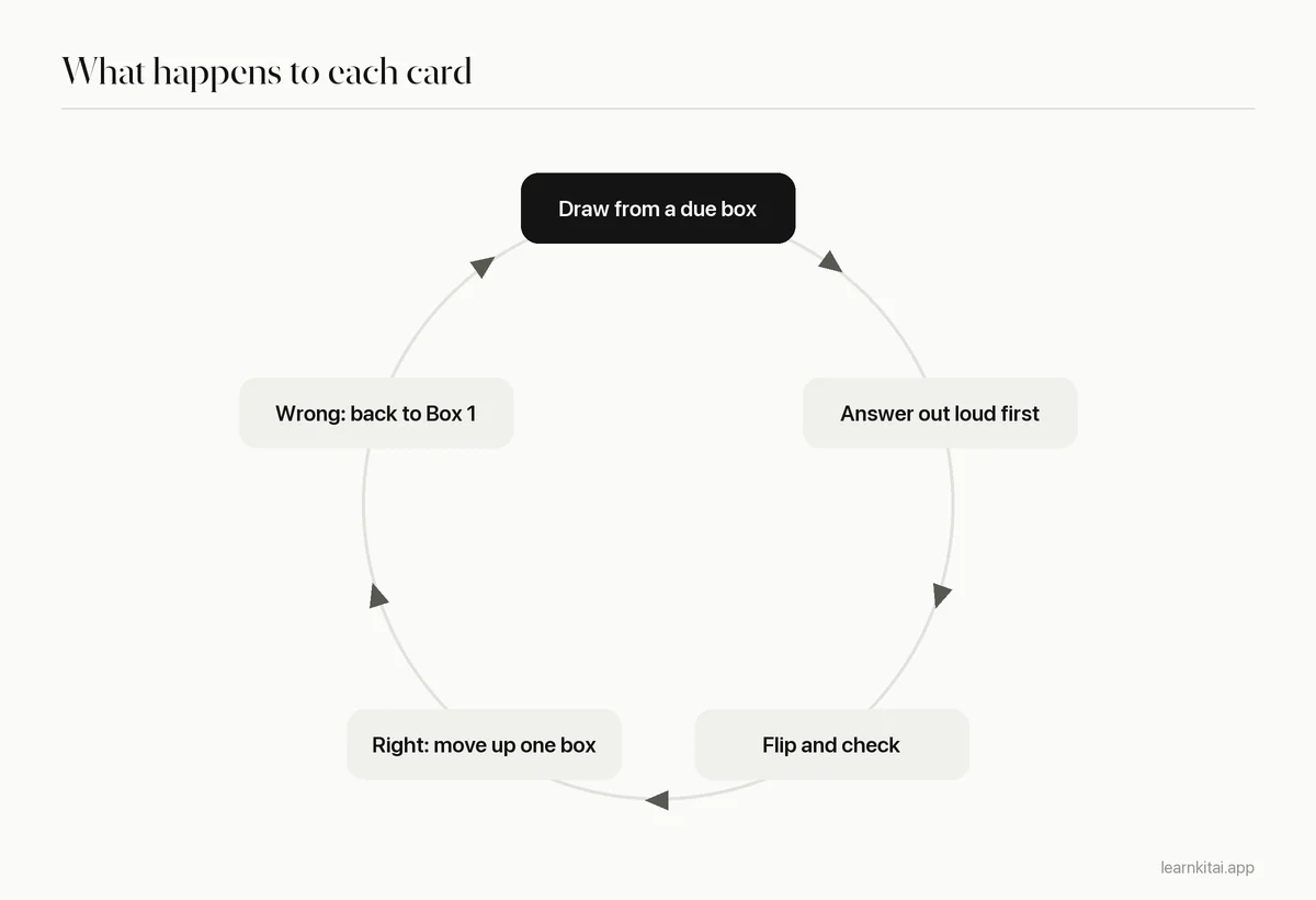 Cycle diagram: draw a card from a due box, answer from memory, check, move up if right or back to Box 1 if wrong