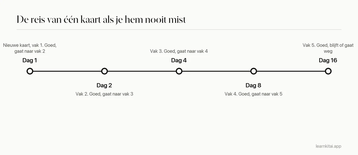 Tijdlijn van een kaart die elke keer goed wordt beantwoord: vak 1 op dag 1, vak 2 op dag 2, vak 3 op dag 4, vak 4 op dag 8, vak 5 op dag 16