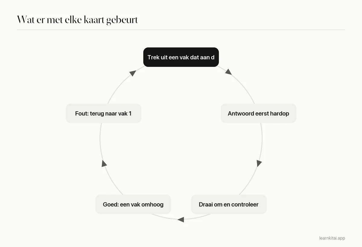 Cyclusdiagram: trek een kaart uit een vak dat aan de beurt is, antwoord uit je hoofd, controleer, ga omhoog bij goed of terug naar vak 1 bij fout