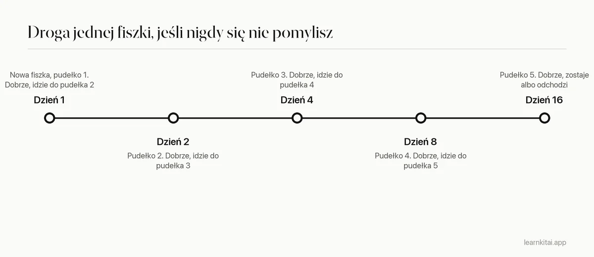 Oś czasu jednej fiszki, na którą zawsze odpowiadasz dobrze: pudełko 1 w dniu 1, pudełko 2 w dniu 2, pudełko 3 w dniu 4, pudełko 4 w dniu 8, pudełko 5 w dniu 16