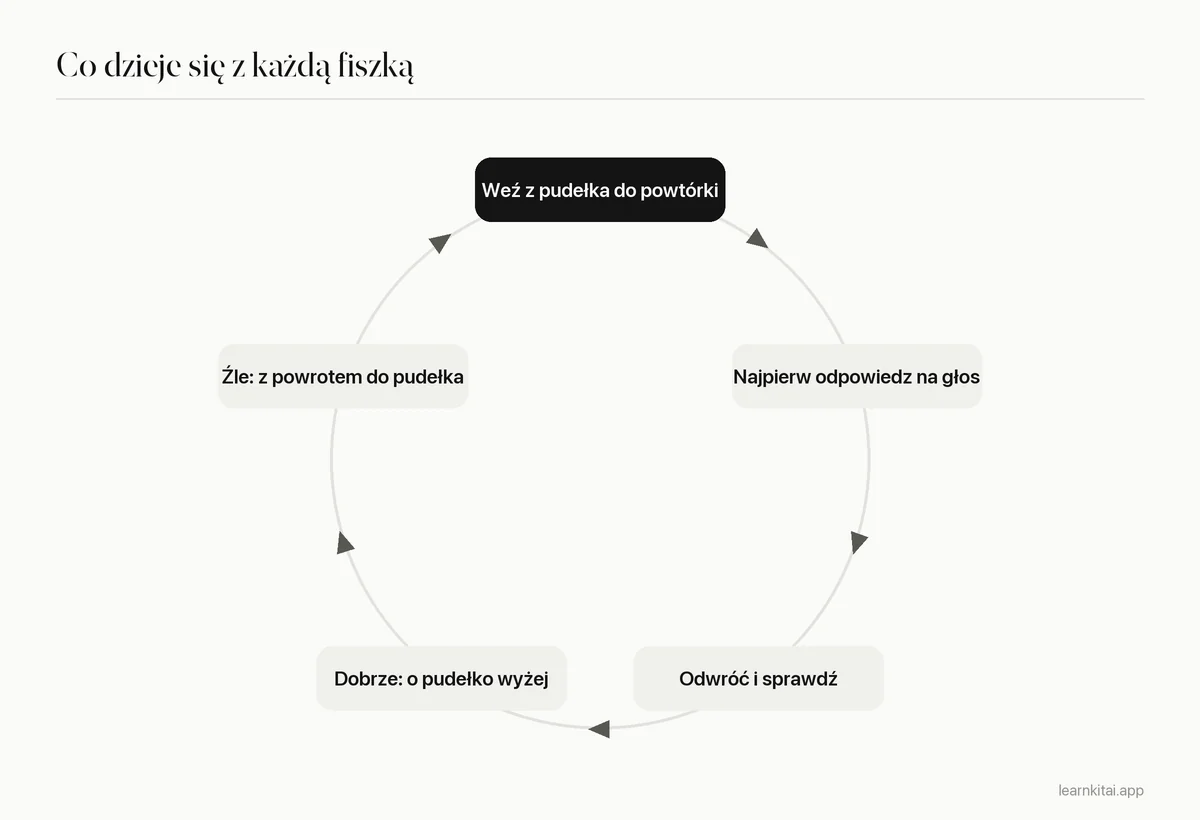 Diagram cyklu: wyciągnij fiszkę z pudełka do powtórki, odpowiedz z pamięci, sprawdź, przesuń wyżej, jeśli dobrze, albo do pudełka 1, jeśli źle