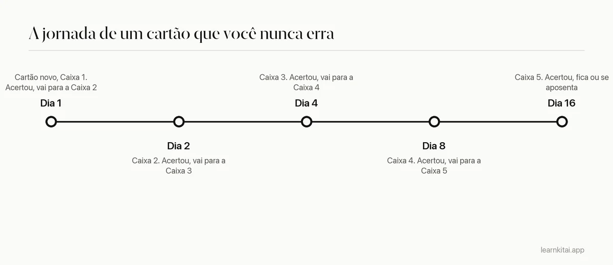 Linha do tempo de um cartão acertado sempre: Caixa 1 no dia 1, Caixa 2 no dia 2, Caixa 3 no dia 4, Caixa 4 no dia 8, Caixa 5 no dia 16