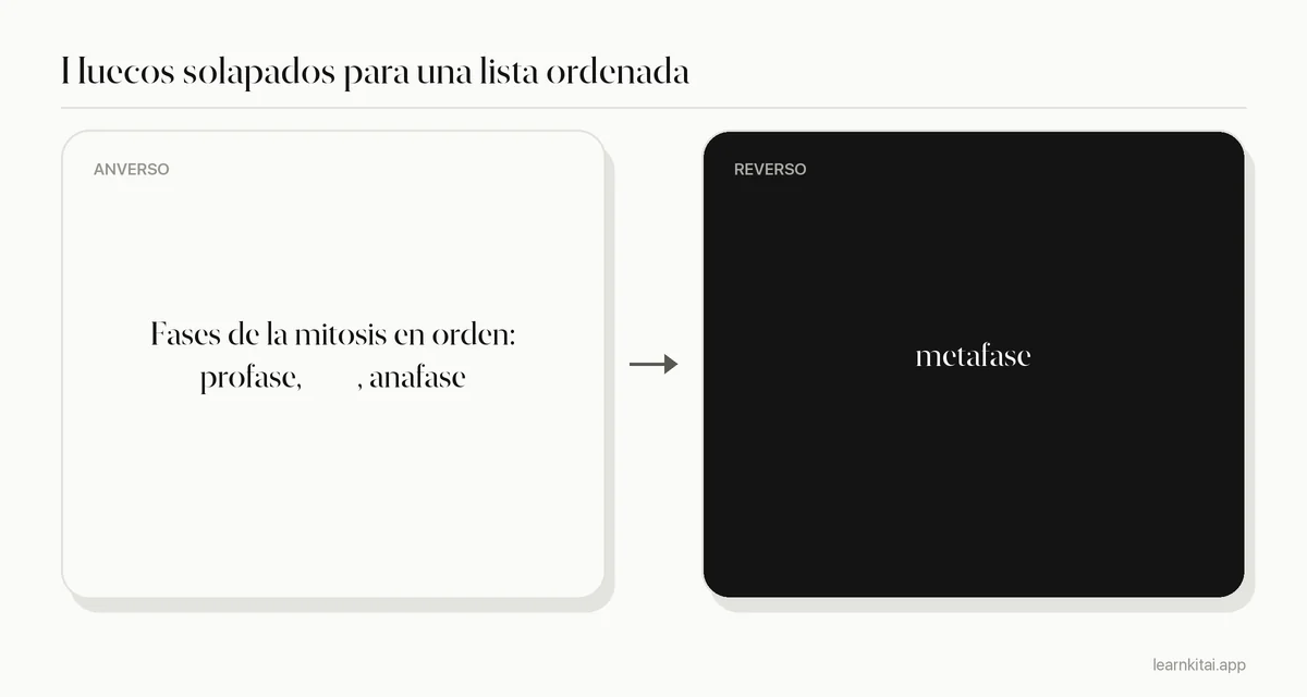 Ejemplo de flashcard con un hueco solapado para las fases de la mitosis