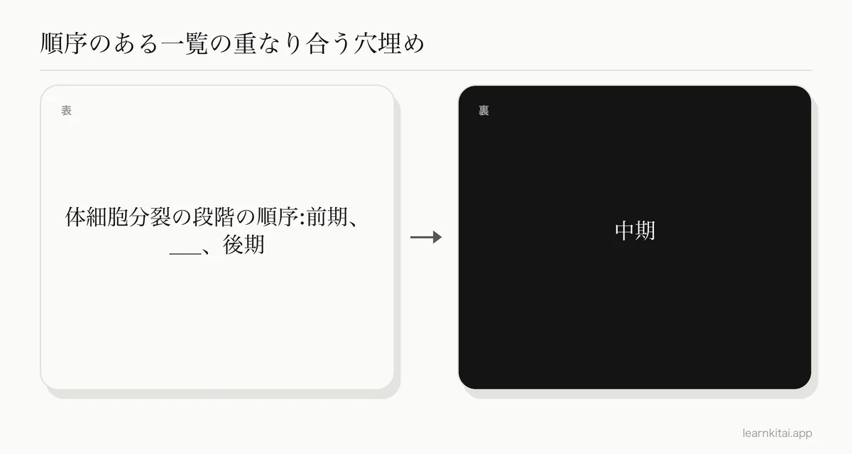体細胞分裂の段階について、重なり合う穴埋めを使った暗記カードの例