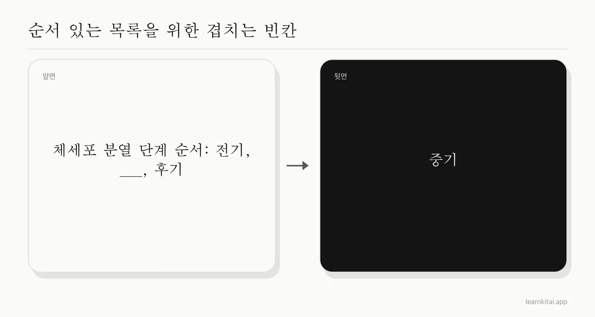 체세포 분열 단계에 겹치는 빈칸 채우기를 쓴 플래시카드 예시
