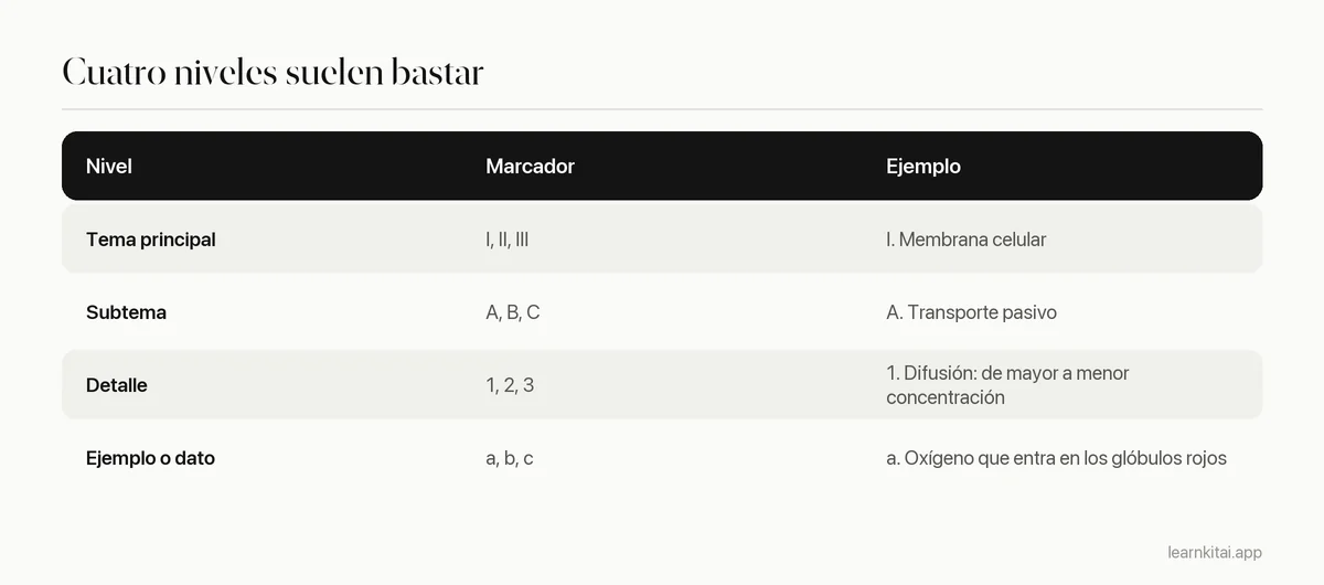 Tabla con cuatro niveles de esquema, su numeración y un ejemplo de una clase de biología