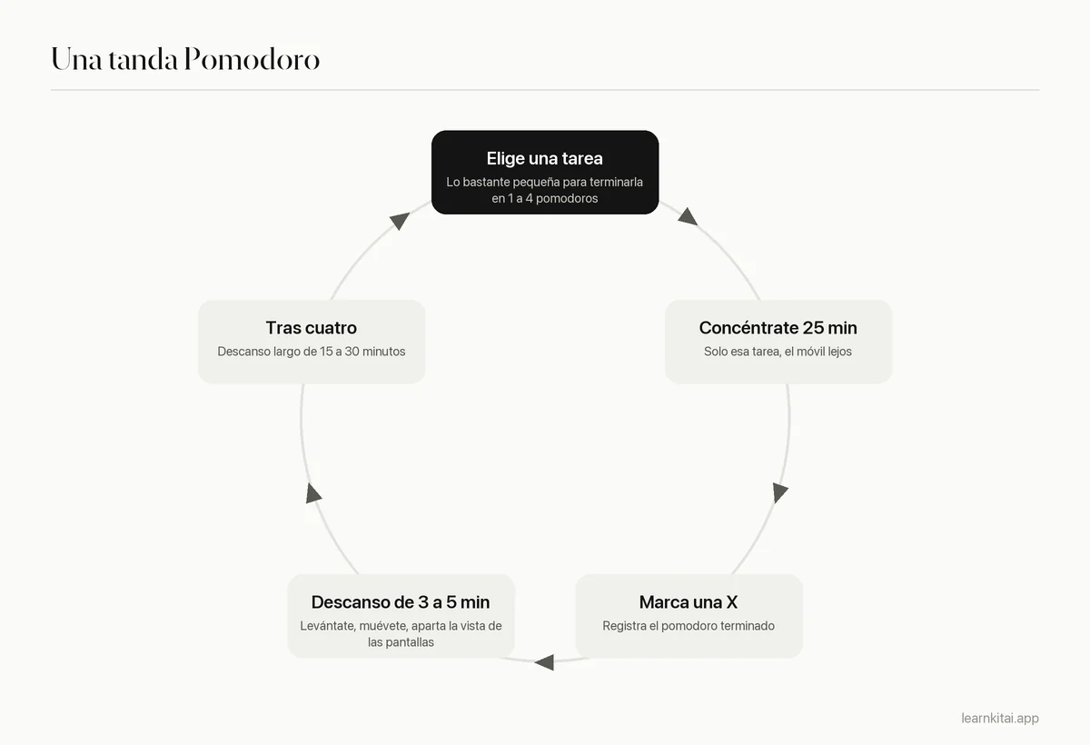 Diagrama cíclico de la técnica Pomodoro: planificar, concentrarse 25 minutos, descanso corto, repetir, descanso largo tras cuatro