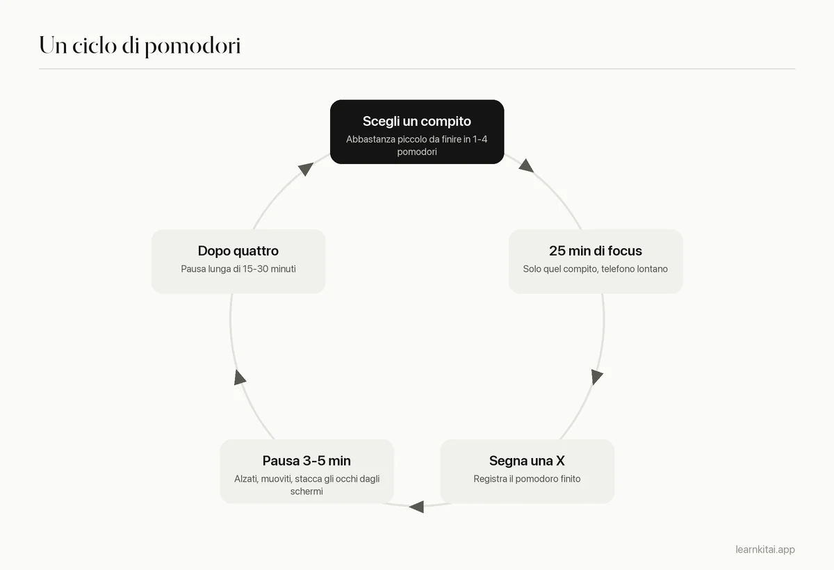 Diagramma ciclico della tecnica del pomodoro: pianifica, concentrati 25 minuti, breve pausa, ripeti, pausa lunga dopo quattro