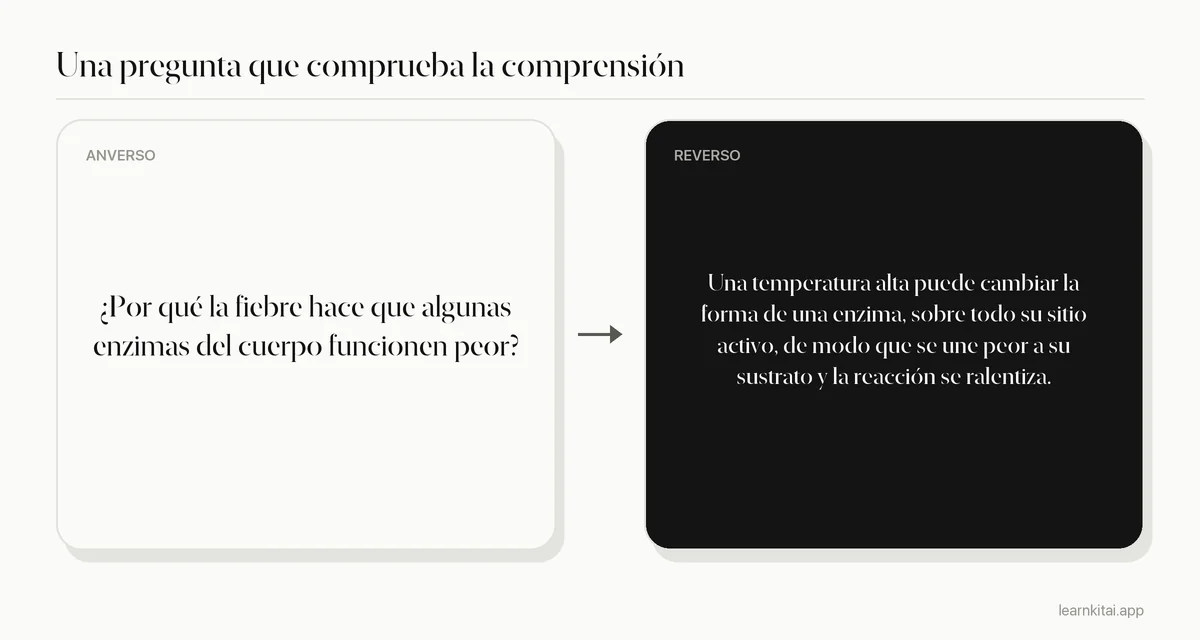 Ejemplo de pregunta de práctica que pide una explicación y no una definición