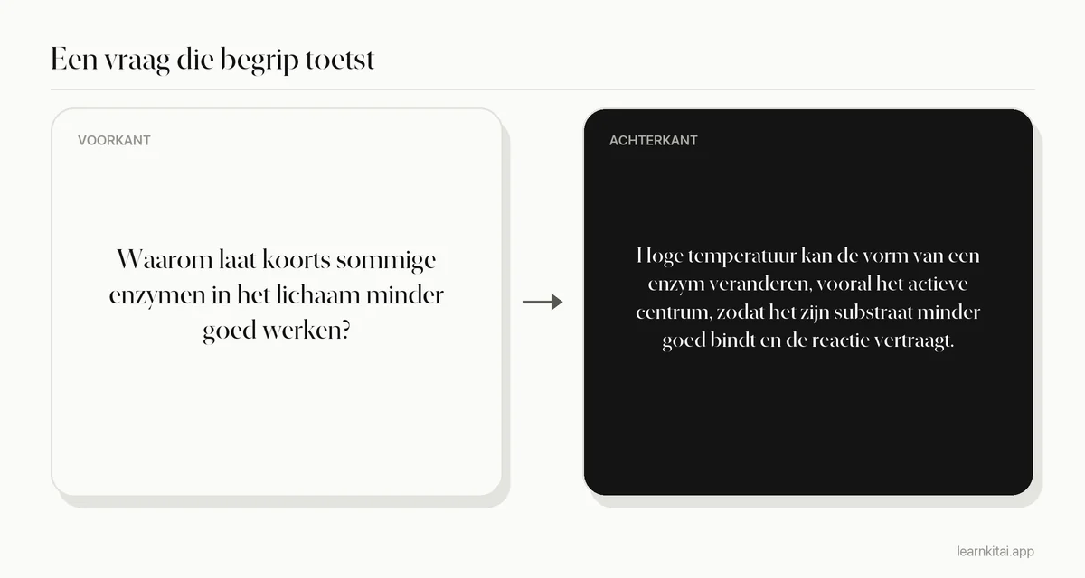 Voorbeeld van een oefenvraag die om uitleg vraagt in plaats van een definitie