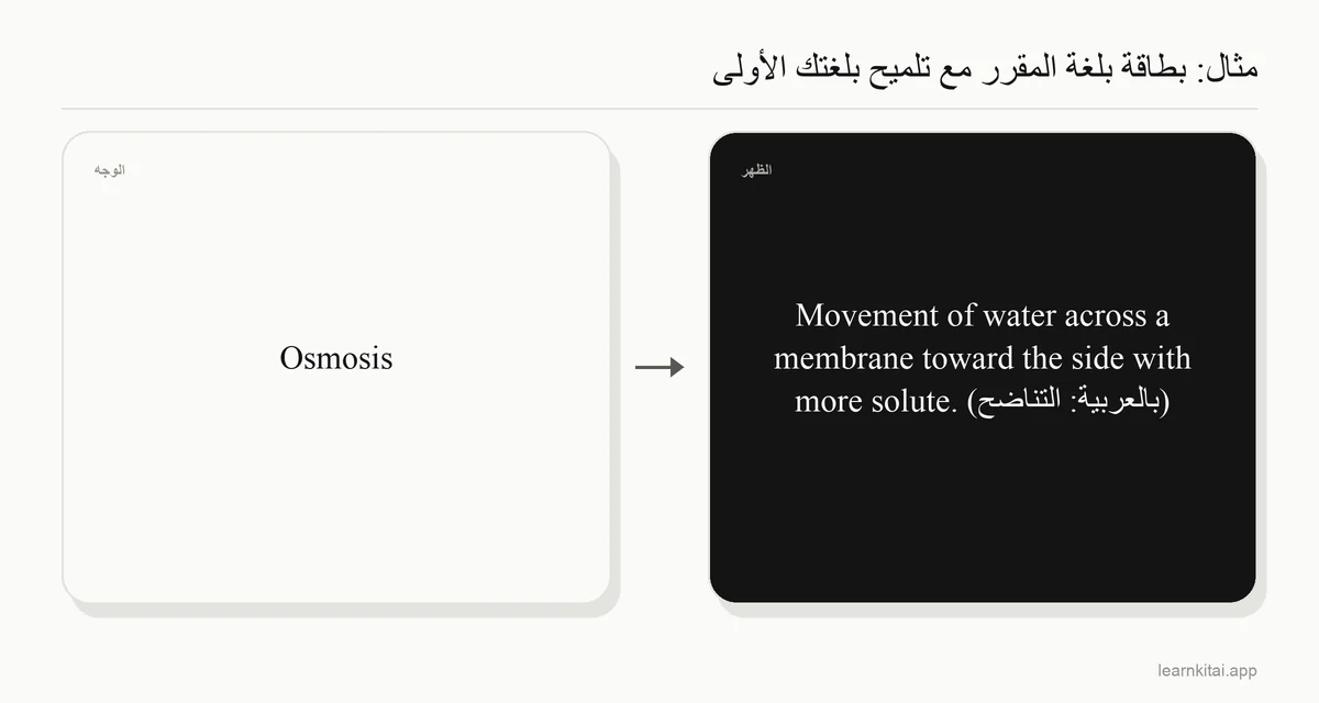 مثال على بطاقة تعليمية: مصطلح Osmosis في البطاقة الأمامية، وتعريف إنجليزي مع تلميح عربي قصير في البطاقة الخلفية