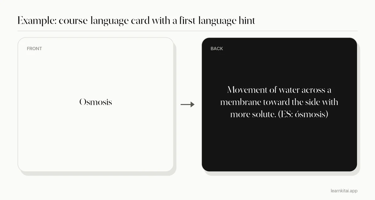Example flashcard with the English biology term osmosis on the front and an English definition with a short Spanish hint on the back