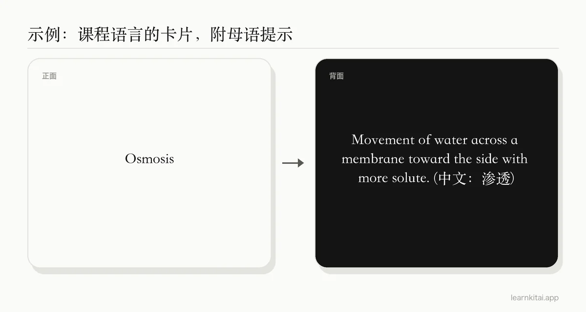 示例闪卡:正面是英文生物术语Osmosis,背面是英文定义,并附一条简短的中文提示