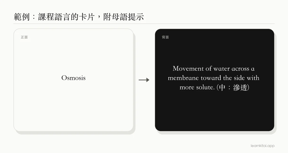 範例字卡:正面是英文生物學名詞 osmosis,背面是英文定義,附一個簡短的中文提示